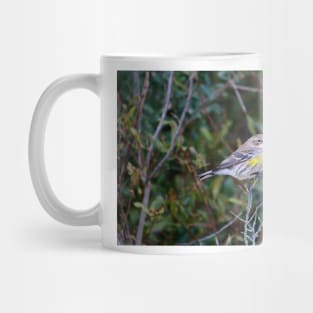 Yellow Rump Warbler Mug